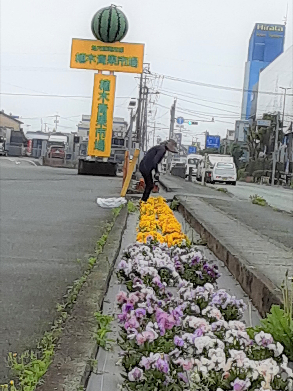 咲く花に、願いを込めて