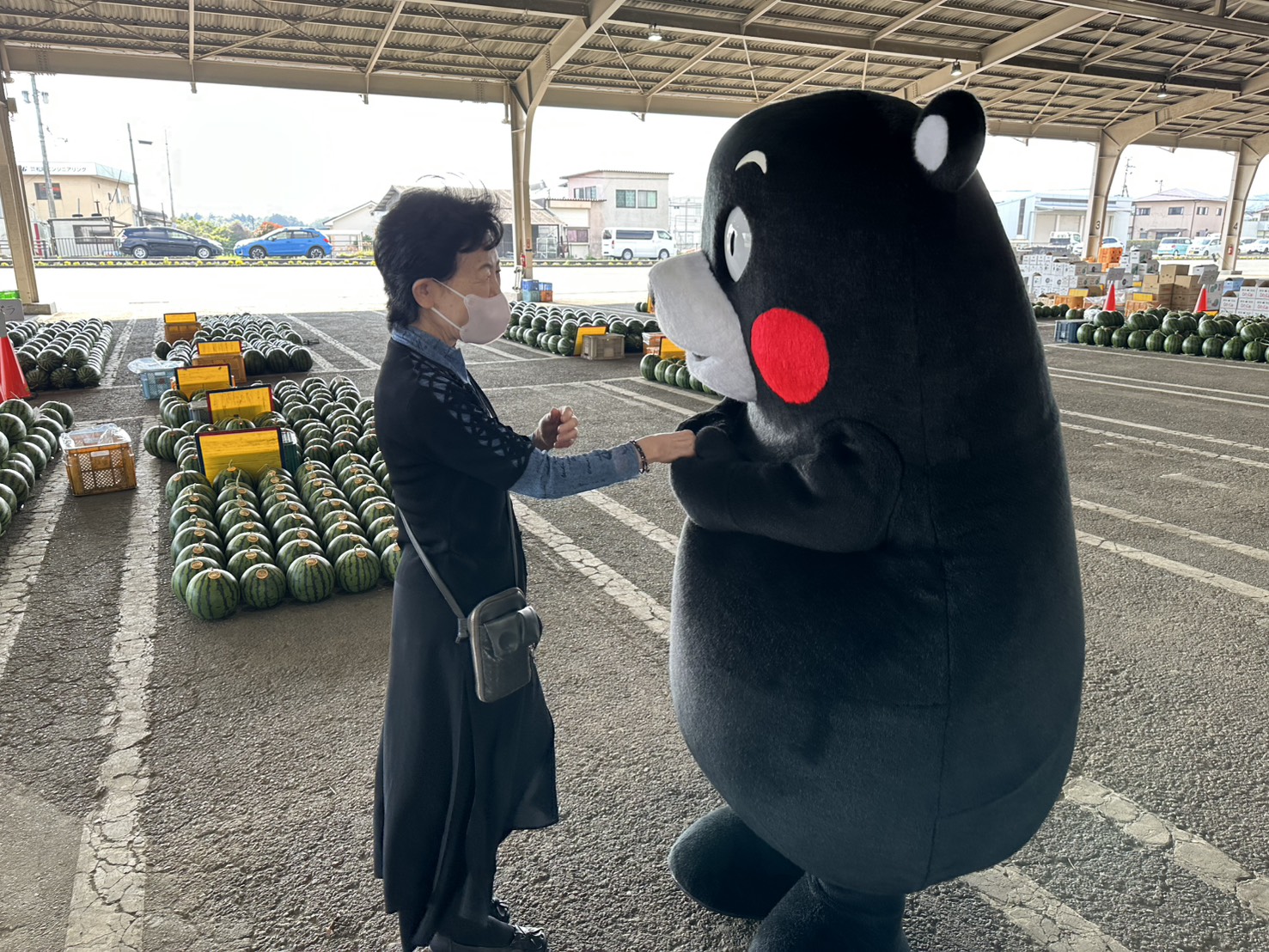 くまもん2