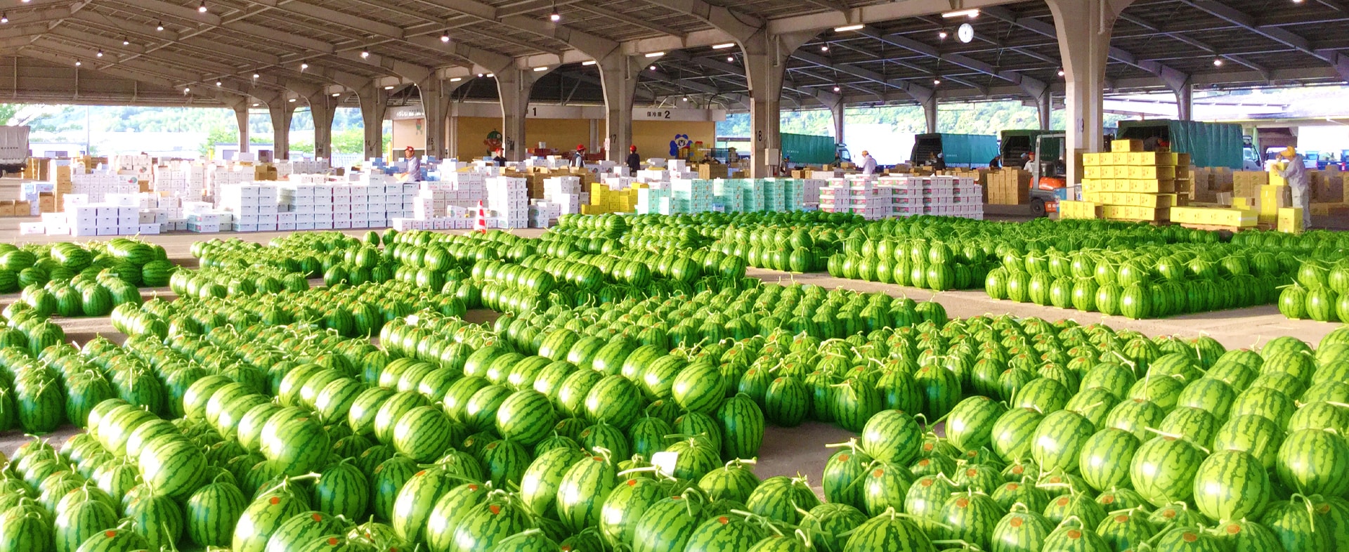 株式会社植木青果市場