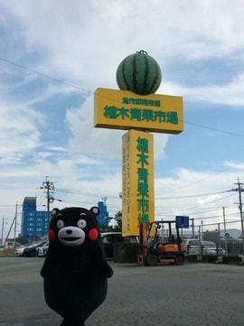 くまモン登場!