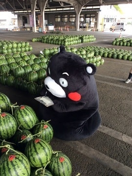 くまモン登場!