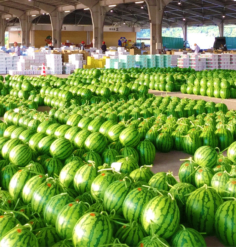 株式会社植木青果市場