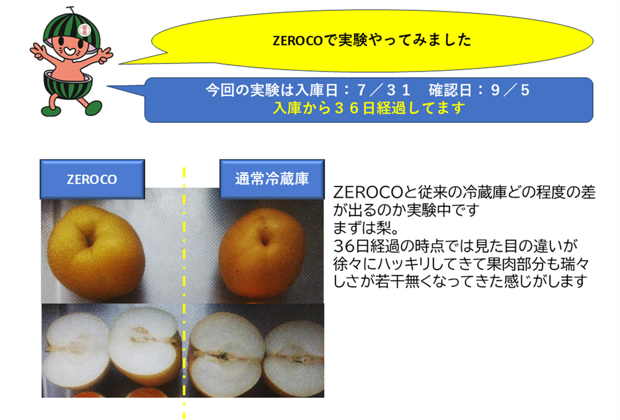 ZEROCOで実験やってみました