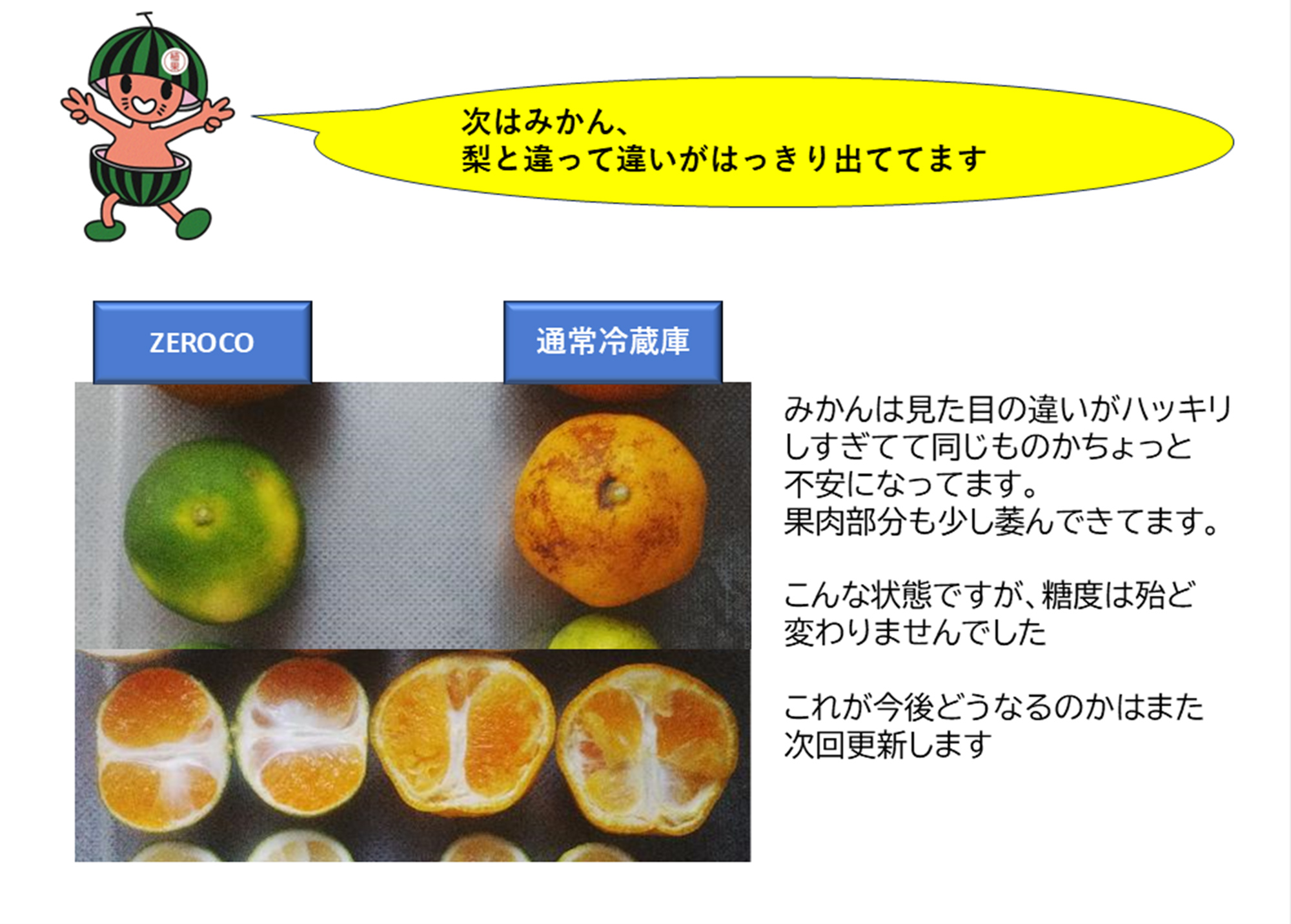 次はみかん、梨と違って違いがはっきり出ています